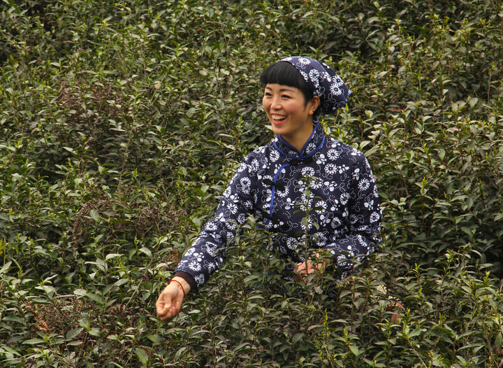Banner 推荐